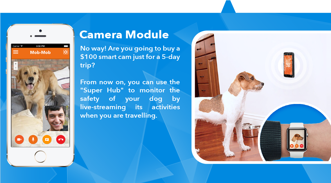Camera Module Page