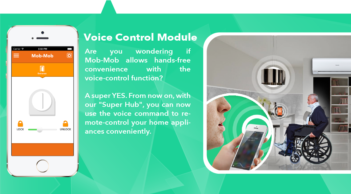 Voice Control  Page